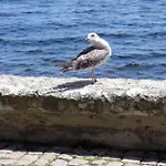 Seafront Im Apartament *