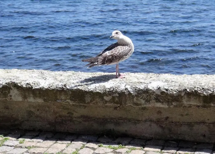 Seafront Im Apartamento *